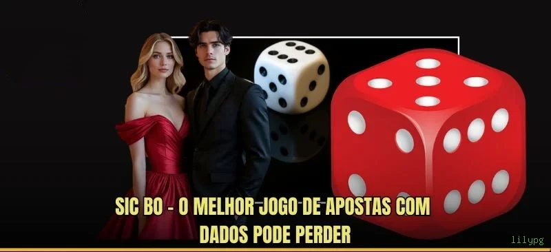 Imagem promocional da plataforma lilypg